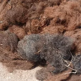 duye yuñ дуйе юнг