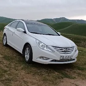 Hyundai Sonata 2011