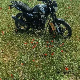 Fekon FK200-14G 2026