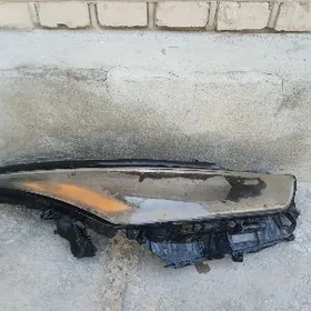 Highlander fara 2021