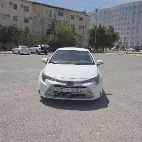 Toyota Corolla 2024