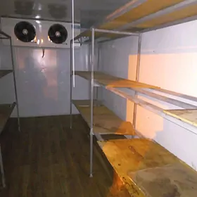 Haladinlik marazynlik