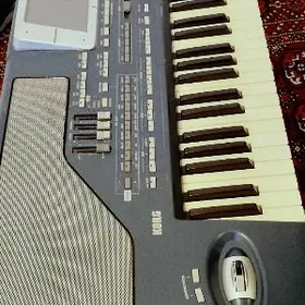 Korg pa800 tazeje