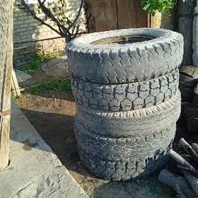 Balon Zil b.n 53 bolya