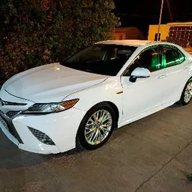 Toyota Camry 2020