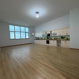 Elitka Moll 15 tapgyr