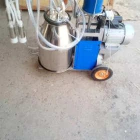 sygyr sagyan сыгыр сагян аппар