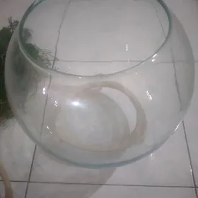 Круглый аквариум