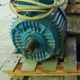 elektro dwigatel motor