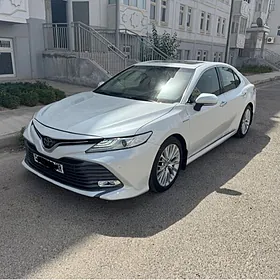 Toyota Camry 2020