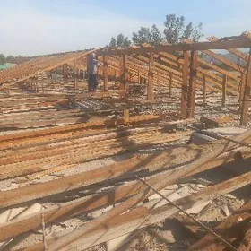 AGAÇ DEMIR ALÝAS ŞYPYR PILIMUT