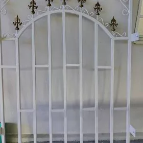 Aýna raşotka tazeje