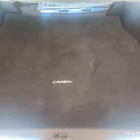 DUTY CAMRY KOBRIK BASGA ZATLAR