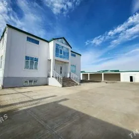 SATLYK TAZE GÄMI KOTEŽŽ 12 SOT