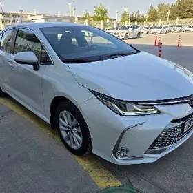 Toyota Corolla 2024