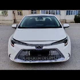 Toyota Corolla 2021