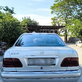 mercedes yzky fara