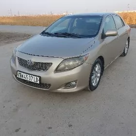 Toyota Corolla 2010