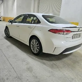 Toyota Corolla 2021