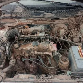 Zapjaslykdyr Adamlar