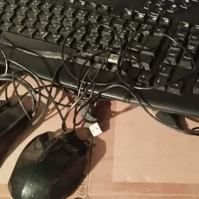 КЛАВИАТУРА   И  МЫШКИ