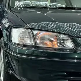 LISICKA-BABOCHKA CHUYSHE FAR