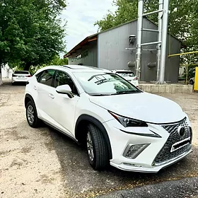 Lexus NX 300 2019