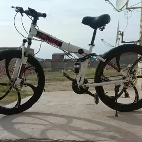 Mersedes welsopet (welik)