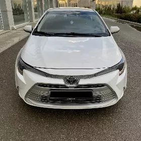 Toyota Corolla 2025