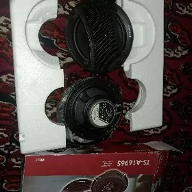 pioner gapy kalonka