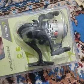 spinnik