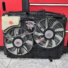 Haylander 2018 radiator mordo