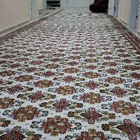 элитка элитка элитка