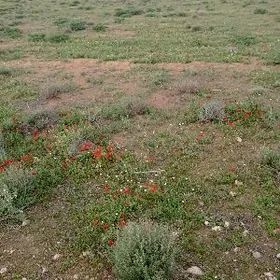 GÜNDİZLİ SAGATLY İŞ GÖZLEÝÂR