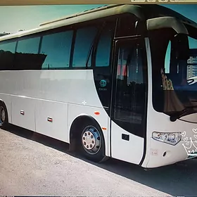 Toyota Coaster 2013