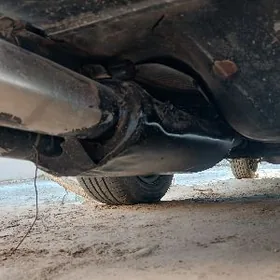 ремус гулушител