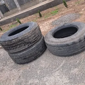 teker daf presepbiñki