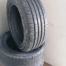 Pakriska 205/55/R16/91H