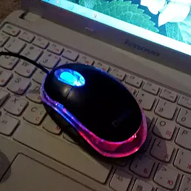 Мышка для компьютера