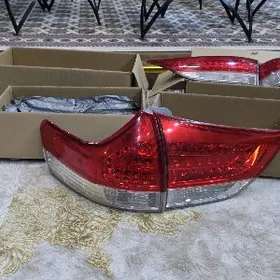 Sienna stop fara Radnoy