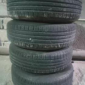 Teker 15