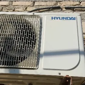 Konsaner  Hundaýy 30 lyk