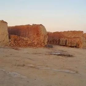 SATLYK 10-GEKTAR ONUMCYLYK YER