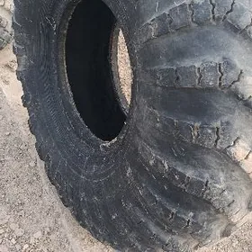 WEDUŞŞİ KAMAZYŇ TEGERİ