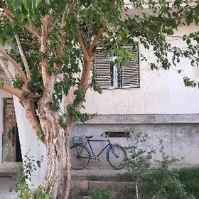 Новый Бахар