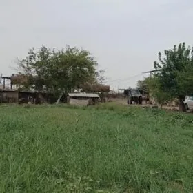 SATLYK 5-GEKTAR OMURLYK MULK .