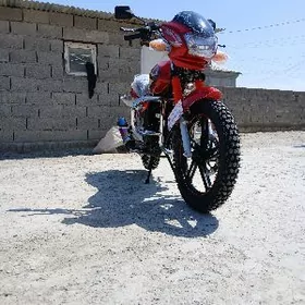 Fekon FK200-14G 2026