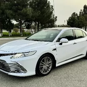 Toyota Camry 2019