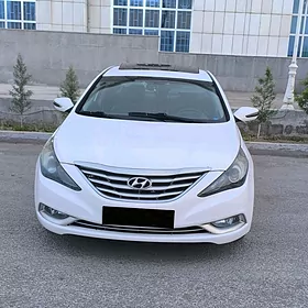 Hyundai Sonata 2010