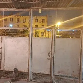 демир забор, гапы, дервезе